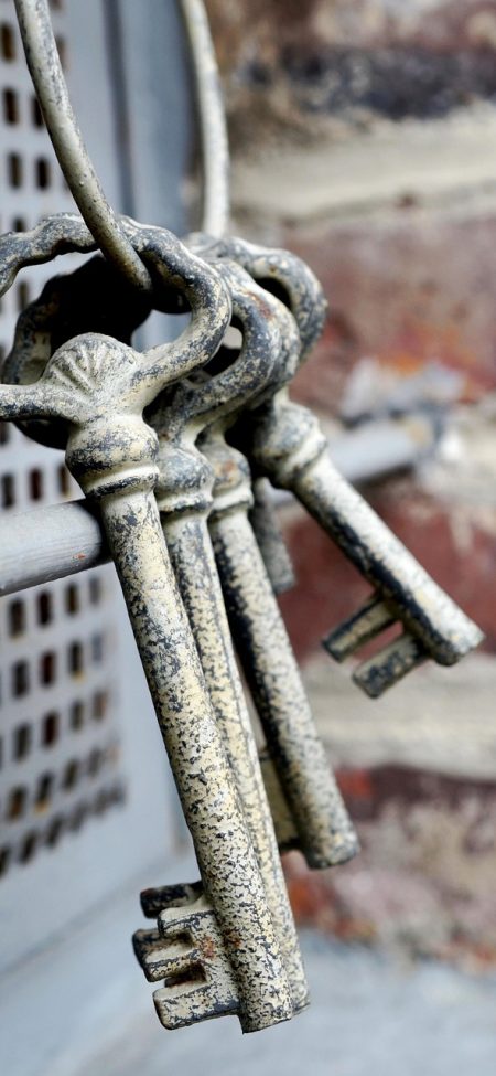 反应 App 设置与安全页，同步开关呈关闭状态，下方有应用锁与导出数据两个入口